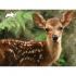 Puzzle 3D - Bambi 100 kom 31x23cm Animal Planet