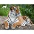 Puzzle 3D - Tigar 500 kom 61x 46cm Animal Planet