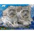 Puzzle 3D - Animal Planet -Snežni Leopard 100 kom 31x23cm
